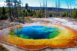 geologise:  Morning Glory Pool (by WorldofArun) Morning glory pool is considered the most beautiful pool and a must-see of Yellowstone National Park. Its colors are because of the existence of heat-thriving bacteria making a stunning display of hues.