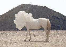 beanfield:  andrea galvani death of an image