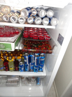 childservices:  diancie:  hotty-toddys-hotty:  How to get over a break up  Fuck the beer and alcohol but LOOK AT ALL OF THOSE GUMMY BEARS OMFG….  I have some news for you….   Third and top shelf is mine just sayin