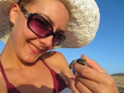 We Released Baby Sea Turtles Today At Sunset In Baja California Sur. It Was One Of