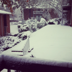 ghdos:  uhfrayedknot:  Winter is a bit early.  Damn. So glad