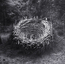The Nest, Lineberg Heath, Germany installation by Nils-Udo, 1978