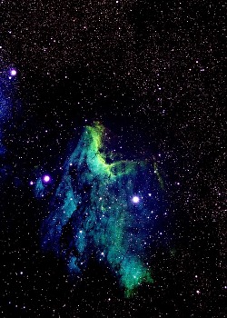 onelightyearfromyou:  IC 5070 / Nebulosa del pelícano. 