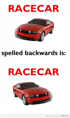 9gag:  Racecar 