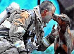 Davidup:  He Had Just Saved Her From A Fire In Her House, Rescuing Her By Carrying