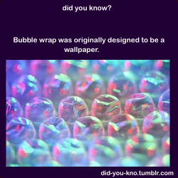 mrninjamanpants:  gryffinwhore:  my-dreams-are-reality:  did-you-kno:  Source  I want a room in my house to be wallpapered with bubble wrap, and the floor will be trampolines, and the bubbles will be filled with confetti so when they pop, it’s like