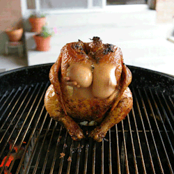thelatenite:  2headedsnake:  cupetinte.blogspot.com Turkey Breast  thelatenite:  Happy Turkey Day!!!  