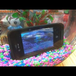fuckyesnicole:  aarondoster:  Lifeproof case. Watching Finding Nemo in a fish bowl. (Taken with instagram)  hahahaha. that case is pretty awesome.      It is and it isn&rsquo;t awesome Lol
