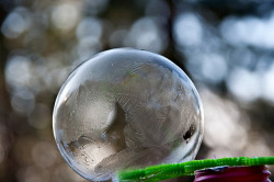 zombiekookie:   Did you know that you can freeze bubbles? These temperatures are perfect for using that left over bubble mix from the summer. Go outside on any day when it’s below 32 degrees F and try this: blow a bubble and then catch it on the bubble