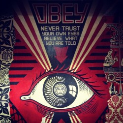 OBEY &ndash; never trust your own eyes believe what you are told