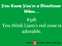 youre-a-1directioner-when:  source (x) 