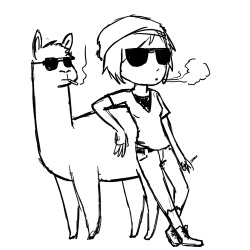 stephadoodle:  I keep seeing something about Quinn and Alpacas on my dash. I just wanted to draw an Alpaca… 
