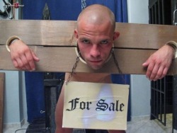 giftedmaster:  What am I bid for him? mastersandslaves:  357g So sad that it fucked up bad enough to have to be sold.  