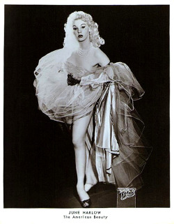 June Harlow   aka. &ldquo;The American Beauty&rdquo;..