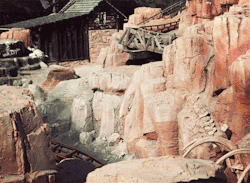 fromme-toyou:  Big Thunder Mountain Railroad