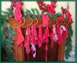 Santa&rsquo;s Naughty List starts tomorrow.  Do you think this lingerie would put you on the list?
