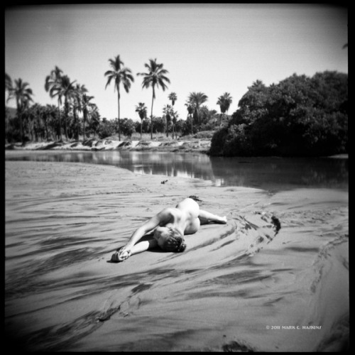 Brooke Lynne - Mark C Haskins “Brindled Lagoon” Todos Santos, Mexico. Shot with a Holga.