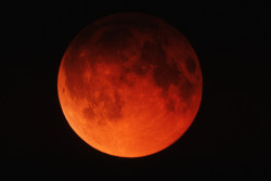 discoverynews:  Don’t Miss the Last Total Lunar Eclipse til 2014 On Saturday, the moon will be eclipsed by the Earth’s shadow, possibly turning it blood-red during totality. Mark Thompson tells us everything we need to know about lunar eclipses here.