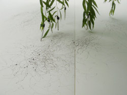 7385928674567208902:  cigerettes:  uglypetal:  kvelle:  Tree Drawings, Tim Knowles “A series of drawings produced using drawing implements attached to the tips of tree branches, the wind’s effects on the tree recorded on paper. Like signatures
