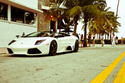 automotivated:  Tamed bull. (by Tom Wolf | Automotive Photography)