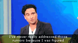 melwantsalokihug:  mishaphilia:  knitmeapony:  coolbreeeze:   Johnny Galecki about gay rumors [x]  Wow. Standing ovation Johnny Galecki.  Yep.  This is how you do it.  THIS. IS HOW. WE. DO   