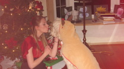typicalwednesdays:  oh youknowzz just me and my reindeer dog on christmas… 
