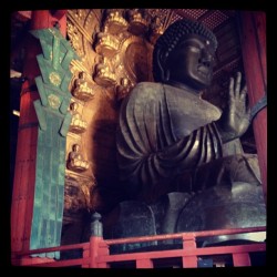 mercurywandering:  The largest Buddha statue in Japan (Taken with Instagram at 東大寺) 