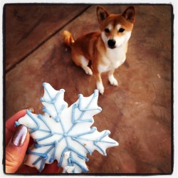 Dagny gets a snowflake cookie. (Taken with instagram)
