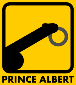 adresseraujus:  pierced-is-best:  homosigns:  Prince Albert (bigger)   Nothing more needs to be said…  👍😈