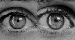 aliewa:  liquid-liam:  ruoloc: Your pupils dilate when you see the person you are attracted to. Because the nervous system controls the muscles of the irises, the response of the nervous system to different stimuli results in involuntary pupil dilation.