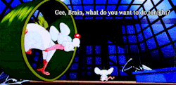 angelsdelights:  dirtydreamer:  Pinky and the Brain!  My response anytime I’m ever asked that question lol 