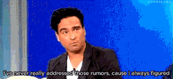 hurricane&ndash;blog:    Johnny Galecki, regarding rumors about him being gay.  I’m reblogging this again because it’s one of the best things to have ever been said ever.  