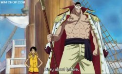 mugiwara-no-ichimi:  Luffy: Sorry about before. Whitebeard: Don’t worry about it. Buggy, Ivankov, &amp; Mr.3: Why are they having such a friendly chat?! 