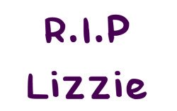    R.I.P. Lizzie- A little Belieber who had cancer and was on life support. #BiebsMeetLizzie was trending earlier this morning on twitter, her wish never got to come true because she passed away a few hours ago. Please spread the word and pray for her