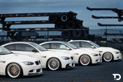 bimmers:  My kind of quattro. Featuring 4x BMW