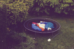  the boys sleeping together on a trampoline is the cutest shit ever ok 
