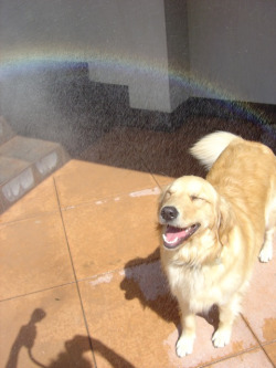 lntoxicate:   this is the happiest picture ever oh myg odo he is smiling there i s a rainbow he is havingfun in the sun 