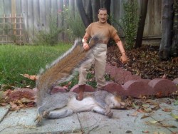 the-absolute-funniest-posts:  thatfunnything: “My husband’s friend had nothing better to do after finding this guy in his backyard……..So he did this.” #i couldnt tell that it was a doll at first so i was like ‘where do you get a squirrel that