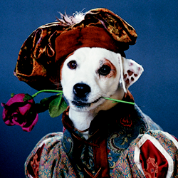 vintagestyledheart:  i-dream-of-gene:  blackmormon:  WISHBONE  OMG YES  OMG DIS SHOW  There are no words to describe how much I love Wishbone