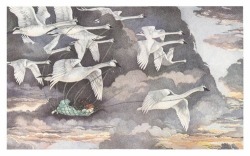 a-pastel-storm:  scene from the  Hans Christian Anderson story- Eleven swans 