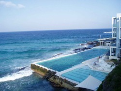 bleu-lagoon:  liolah:  raysofthesun:  white-beaches:  Bondi Ocean Pool   ASDFGHJKL i’ve always wanted to know where this is! holy shit i need to get here somehow!   love living in aus, the beaches are all beautiful icebergsss miss this place :( 