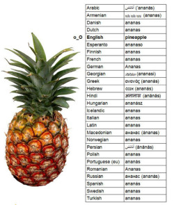 2spooky-isnt-an-emotion-4u:  isahbellah:  thinly:   -Sir, we’ve found this and we needed you to name it. -Pineapple. -But we figured we might as well just call it “Ananas” since the majority of the world refers to it as- -Pineapple. -But sir- -Pine.