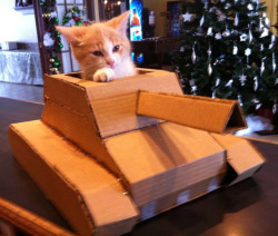 laughingsquid:  Cardboard Kitten Tank 