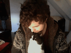 andro-saurus:  rngnightmares:  THE CAT RETURNED THE KISS THE CAT FUCKING RETURNED THE KISS OH MY GOD  best gif on the internet 