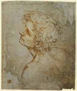 leonardian:  The “Fioravanti Folio” Self Portrait(Master Copy - Reconstruction ) Having done the “Adoration” self-portrait, I thought doing this one would be a nice challenge, seeing as Leonardo only left a few lines to go by - wind-swept hair