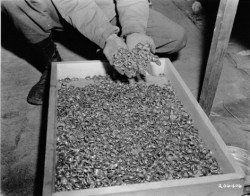  This is one of the most haunting photos I have ever seen. It is hundreds of wedding rings that were removed from those in Concentration Camps. I haven’t seen a single post on my dash about it being the remembrance day of the Holocaust today so I guess