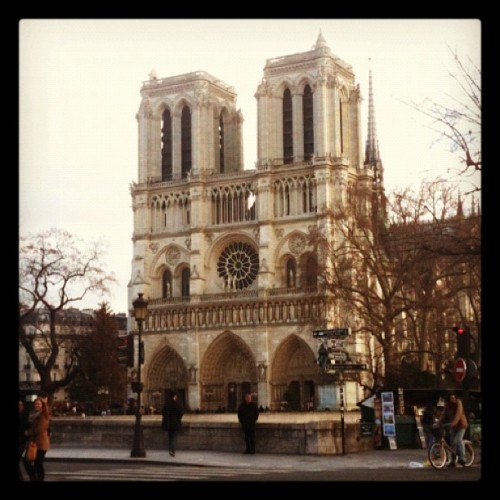 Porn photo Notre Dame (Taken with instagram)