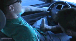corbeauxtube:  If you can’t get car head, car hand is the next best thing.   