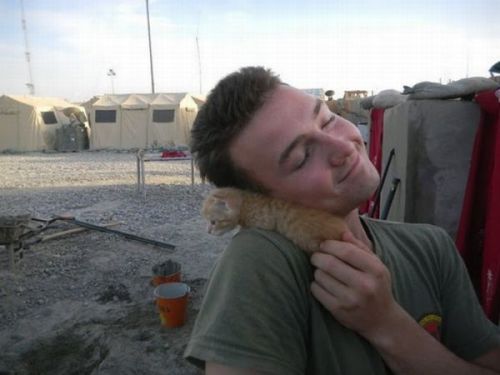 Porn Pics friendleaderp:   Kittens rescued by US Marines