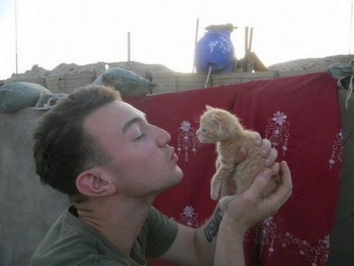 friendleaderp:   Kittens rescued by US Marines porn pictures